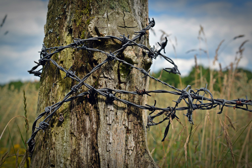 Do Social Media Platforms Really Punish Your Organic Reach for Posting from a Third-Party Tool?