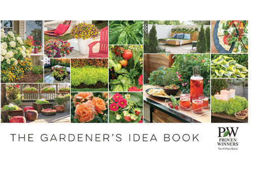 No Industry Is Too Boring for Social Media: How to Get Innovative with Content