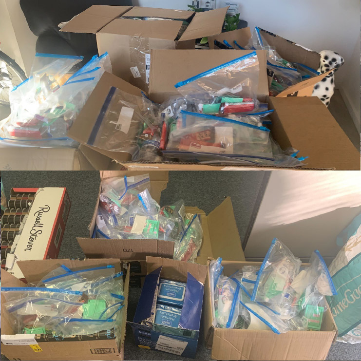 Martin Luther King Service Day Project